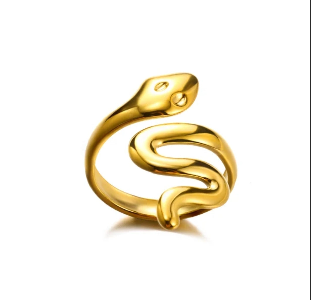 Bague acier inoxydable jonc serpent chance porte-bonheur